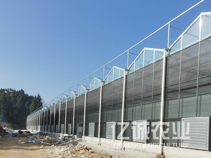 双层薄膜连栋温室大棚造价高不高？有哪些建造方式？